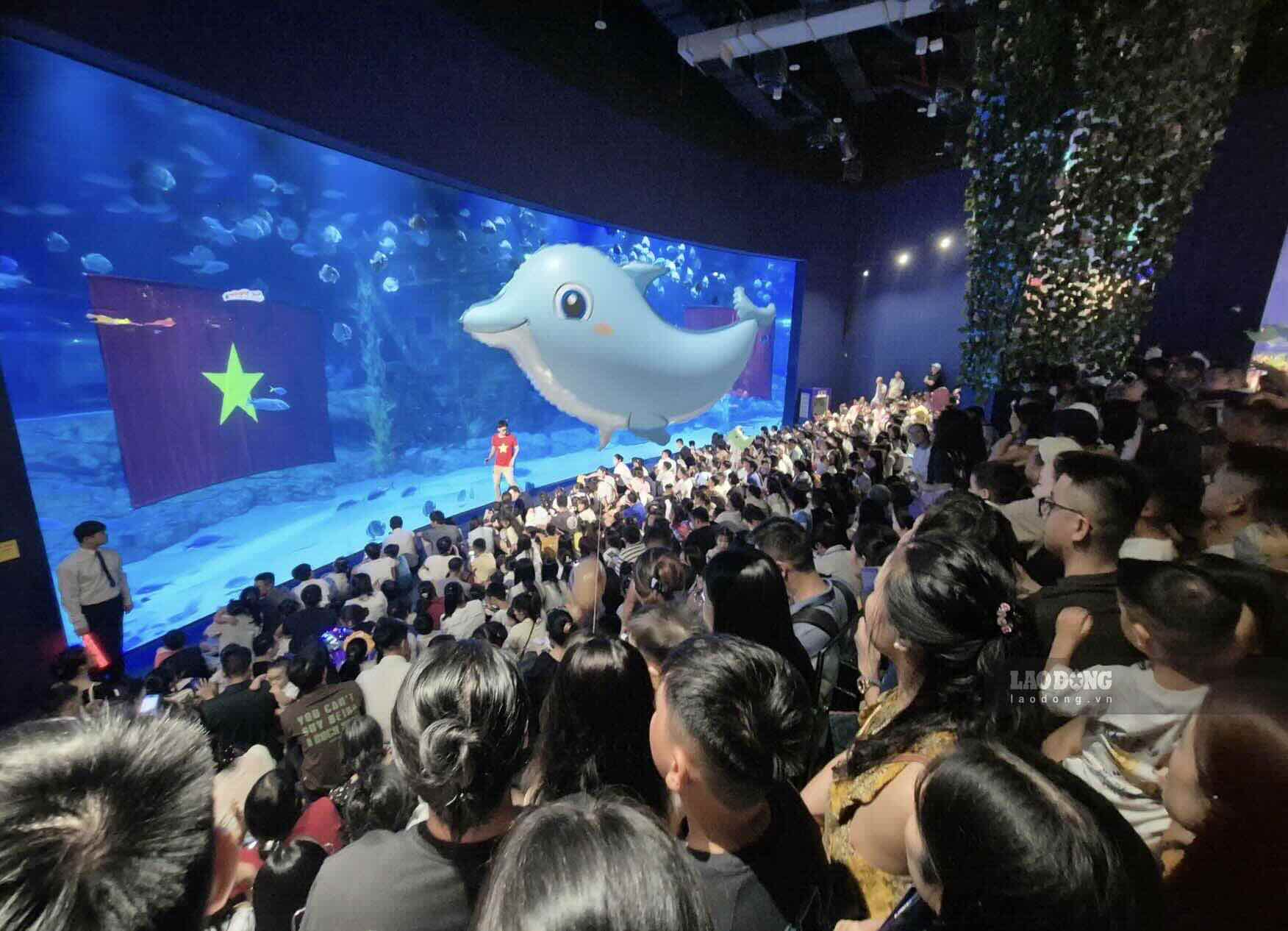 Hundreds of people gathered to watch the mermaid show at Lotte Tay Ho Aquarium during the September 2nd holiday. Photo: Phan Anh
