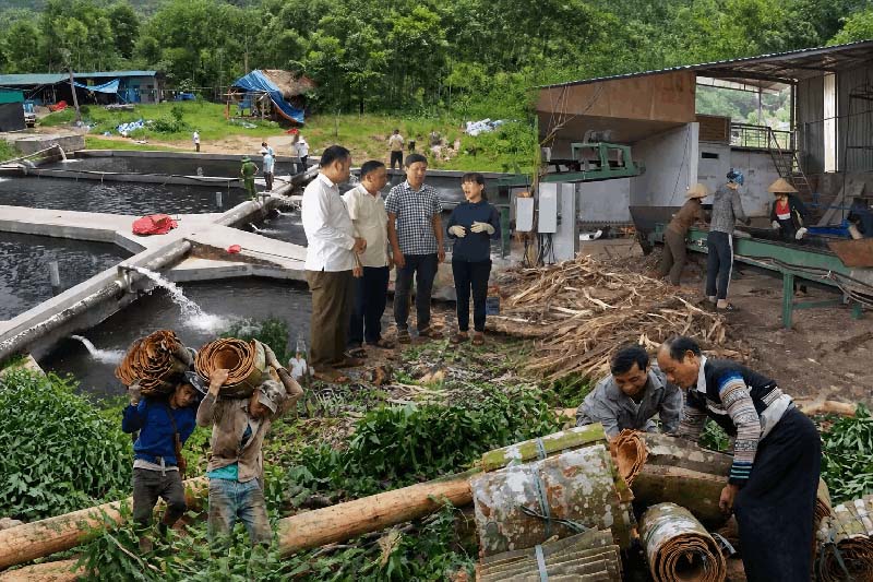 Lao Cai province has 3,018 party members participating in activities in the private economic sector, of which 142 party members are business owners; there are 201 private enterprises recruiting workers who are party members. Photo: Lao Cai Provincial e-Portal
