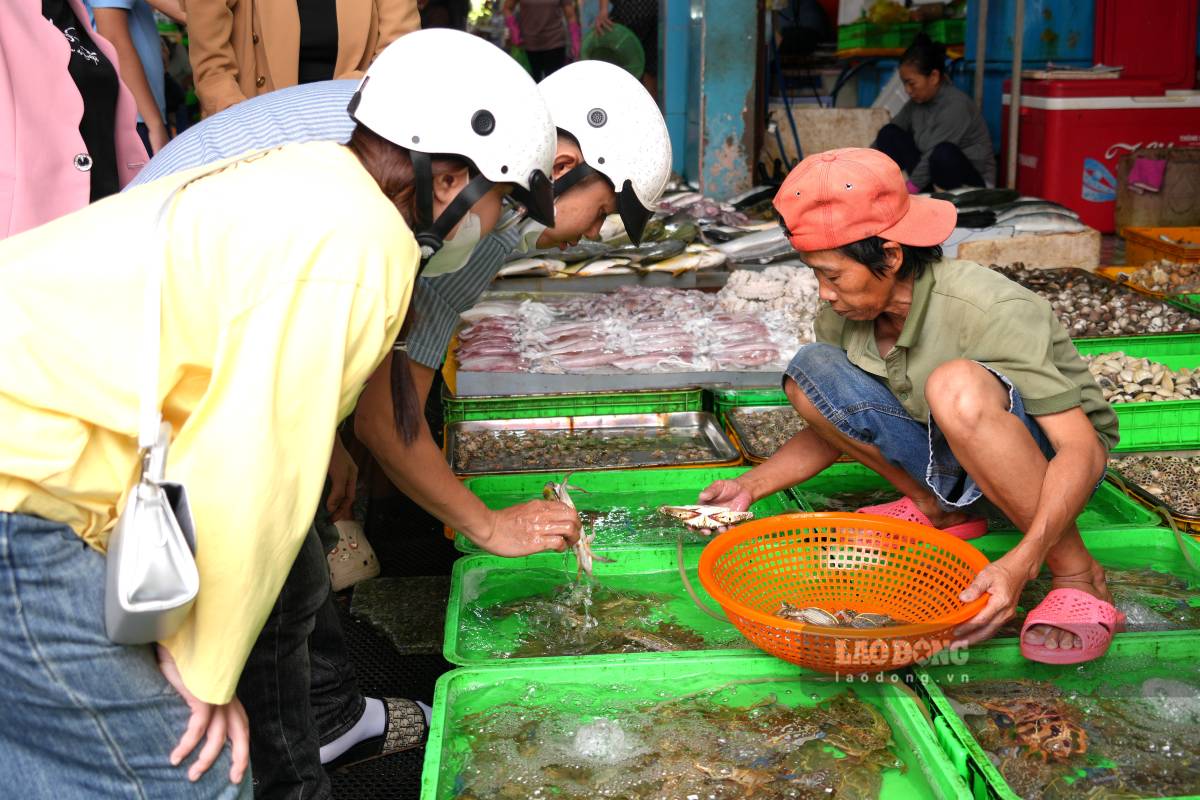 Sức mua hải sản tăng nhưng không quá cao, du khách thoải mái lựa chọn tại các cơ sở kinh doanh. Ảnh: Thành An