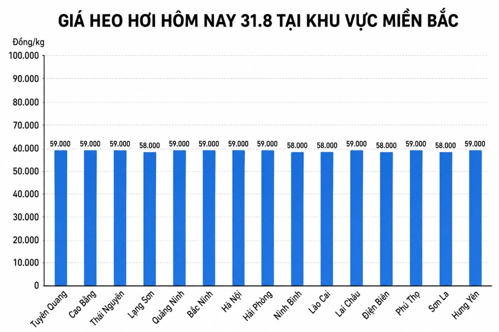 Giá heo hơi hôm nay 31.8 tại khu vực miền Bắc. Đồ họa sử dụng AI
