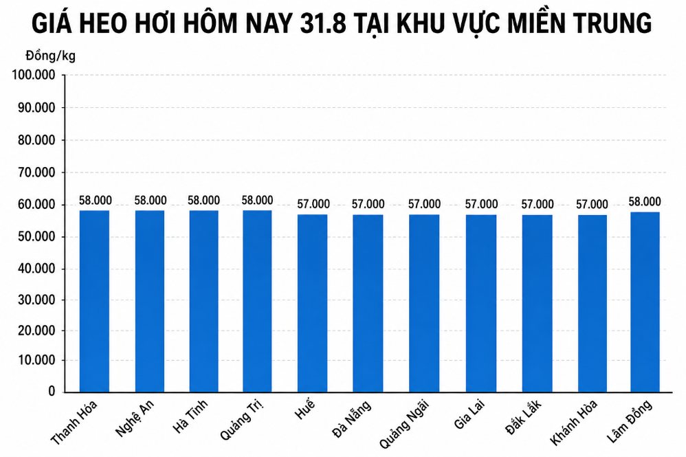 Giá heo hơi hôm nay 31.8 tại khu vực miền Bắc. Đồ họa sử dụng AI