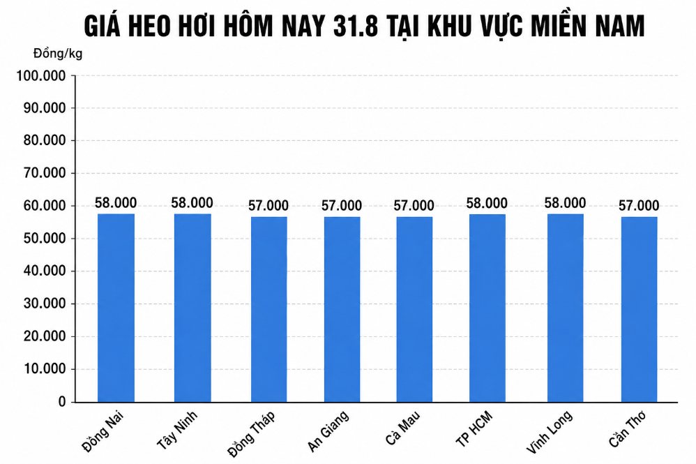Giá heo hơi hôm nay 31.8 tại khu vực miền Bắc. Đồ họa sử dụng AI