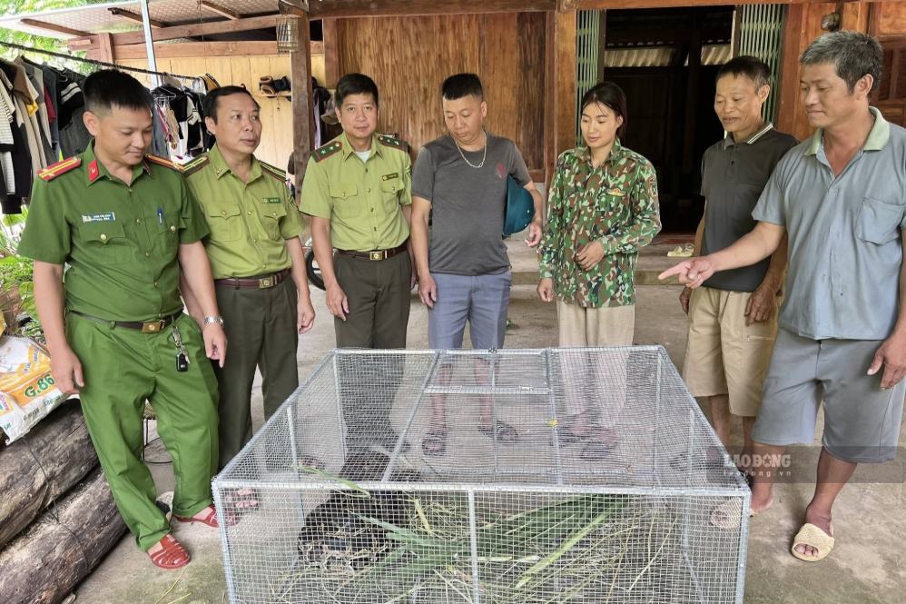 Người dân bản Thống Nhất, xã Mường Bang, tỉnh Sơn La bàn giao cá thể trăn hoang dã cho lực lượng chức năng. Ảnh: Hà Hoàn