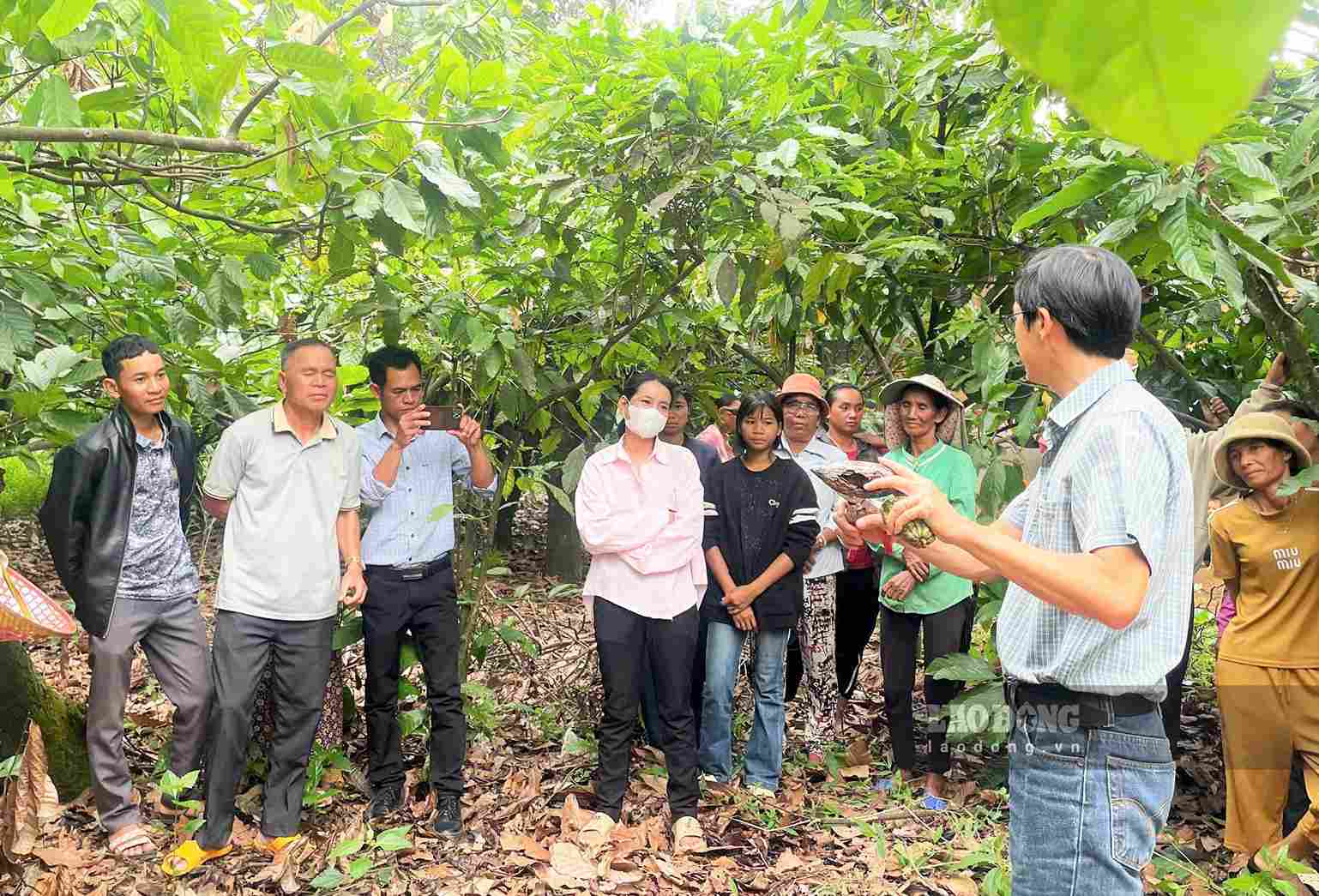 Dam Rong 4 commune has implemented many livelihood models for people to reduce poverty. Photo: Phuc Khanh
