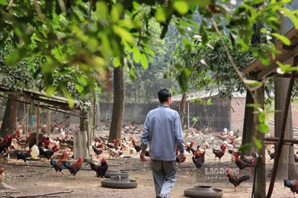 Voters propose adjusting the multidimensional poverty line, reflecting the correct cost of living. Photo: Thu Giang