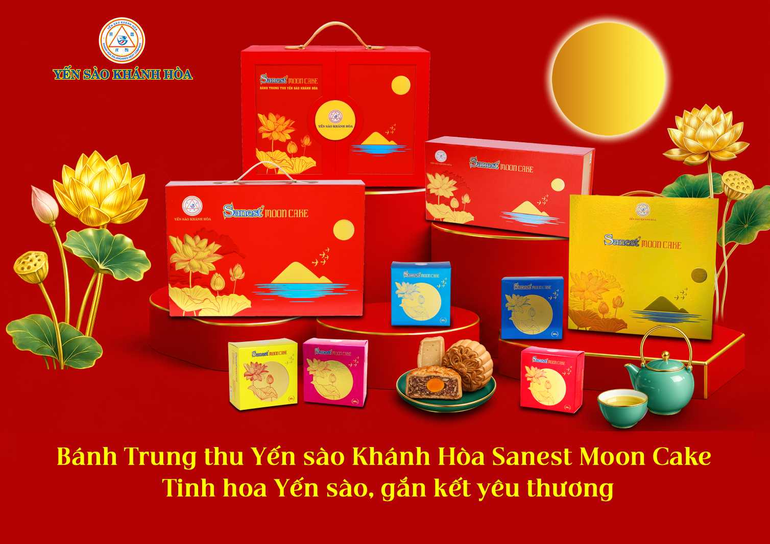 Ảnh: Yến sào Khánh Hòa