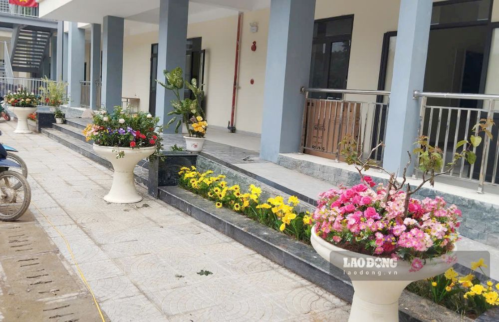 Những dãy hoa được trồng ngay tại khu vực sân trường. Ảnh: Quách Du