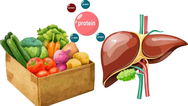 Healthier liver thanks to adjusting diet every day. Graphics: AI