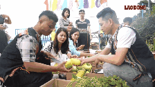 Tourists experience the cloud fair in Tak Po, Da Nang. Photo: Hoang Bin