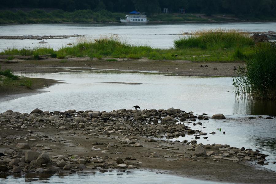 Mực nước sông Vistula xuống thấp, để lộ nhiều bãi cạn tại Warsaw (Ba Lan) ngày 13.7.2026. Ảnh: Xinhua