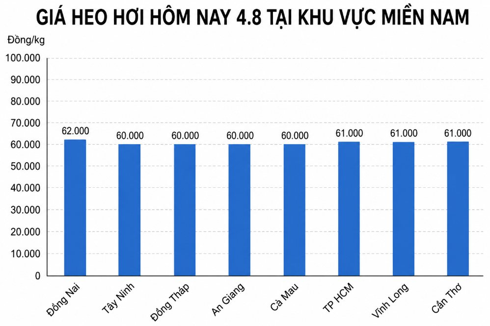 Giá heo hơi hôm nay 4.8 tại khu vực miền Nam. Đồ họa sử dụng AI
