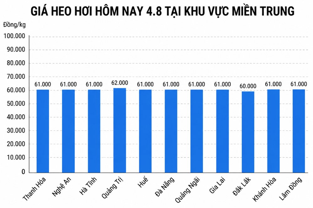 Giá heo hơi hôm nay 4.8 tại khu vực miền Trung. Đồ họa sử dụng AI