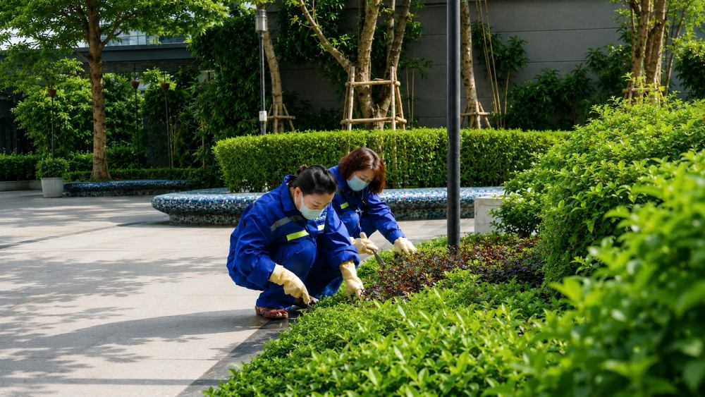 Behind the green living space of residents is the silent but persistent work of the operating team. Photo: ROX Group