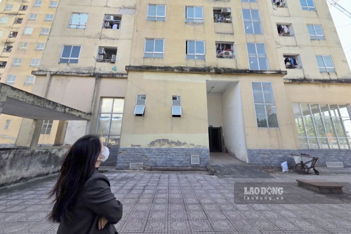People can buy social housing outside the province if they meet the conditions. Photo: Nhu Ha