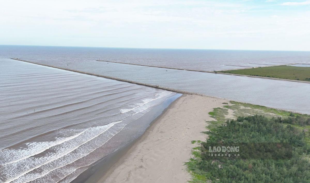 The cluster of channel works through Lach Giang estuary contributes to promoting the marine economy. Photo: Luong Ha