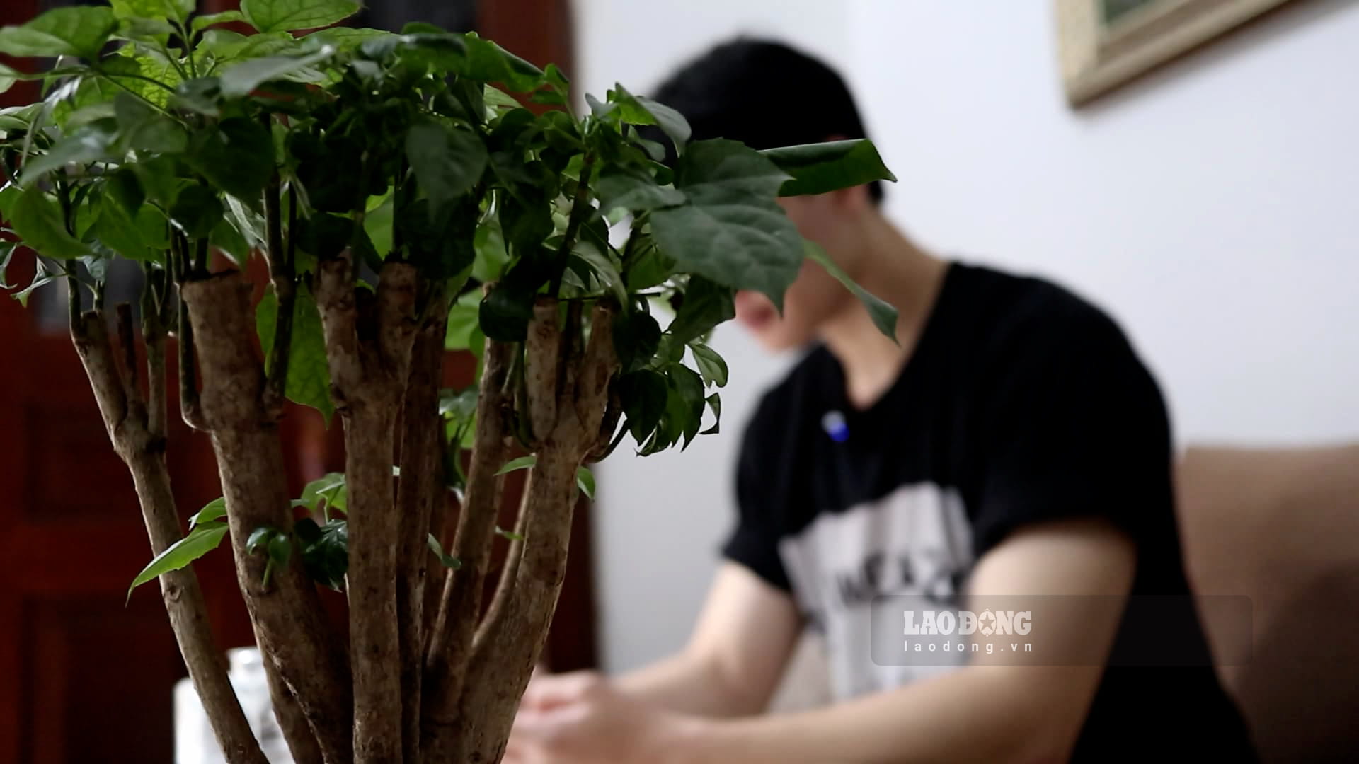 Mental exhaustion in young people, don't ignore these signs. Photo: Huyen Trang