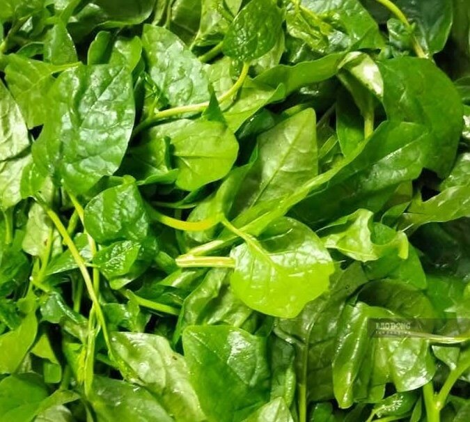 Malabar spinach is said to be good for the liver. Photo: Kieu Vu