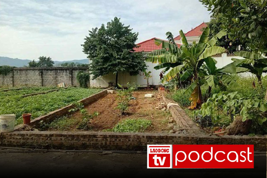 Morning news August 5th: Land plot prices in some places decreased by more than 65% after about 6 months