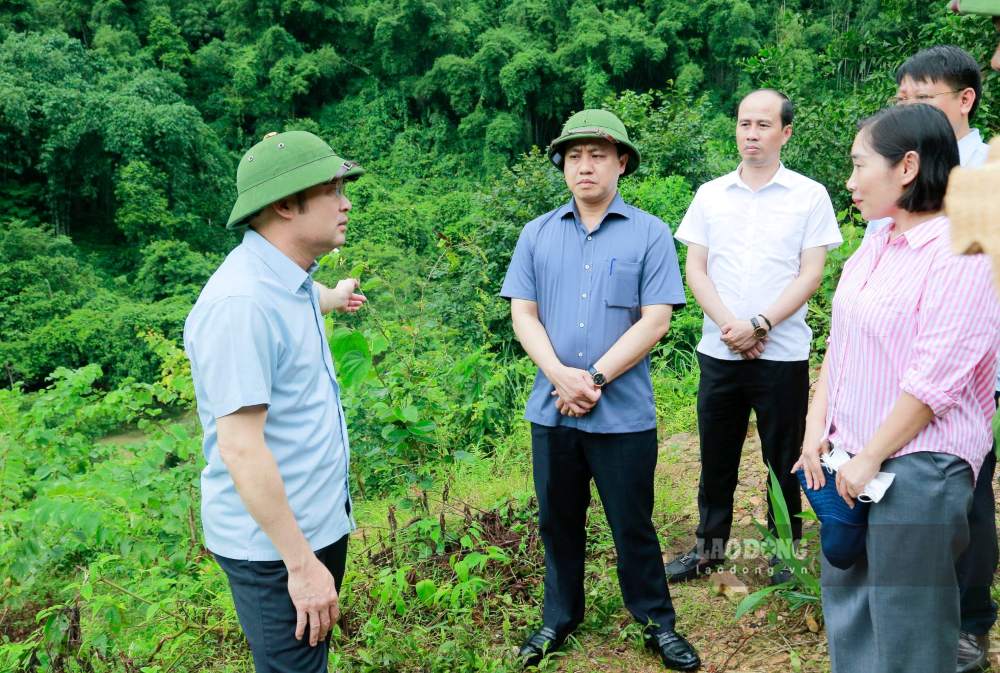 Vice Chairman of Thanh Hoa Provincial People's Committee Cao Van Cuong and the working delegation inspect the area where the stream water suddenly changed color. Photo: Minh Hoang
