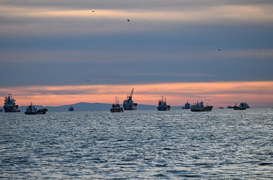 Bateaux en mer Marmara à Istanbul, en Turquie. La mer Marmara est une zone maritime reliant la mer Noire et la mer Égée à travers le détroit du Bosphore et les Dardanelles. Photo: Xinhua