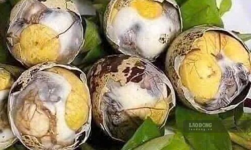 What should elderly people pay attention to when eating balut? Photo: Kieu Vu