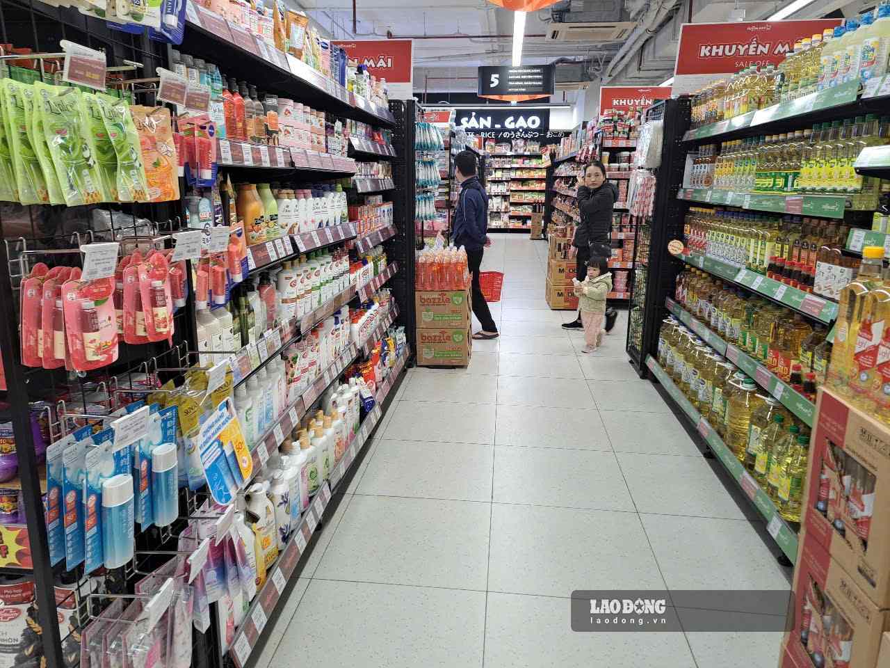 Tax reduction for small businesses and business households is proposed in relation to the scale and characteristics of the industry. Photo: Luc Giang