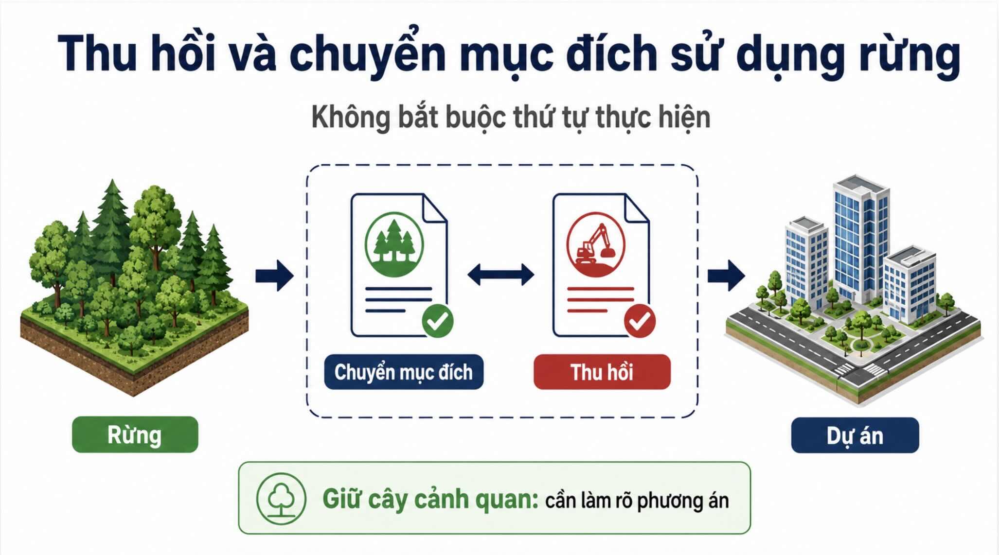 Dự án có rừng được thực hiện thủ tục thu hồi và chuyển mục đích sử dụng rừng theo quy định, không bắt buộc thủ tục nào phải làm trước. Đồ họa: AI