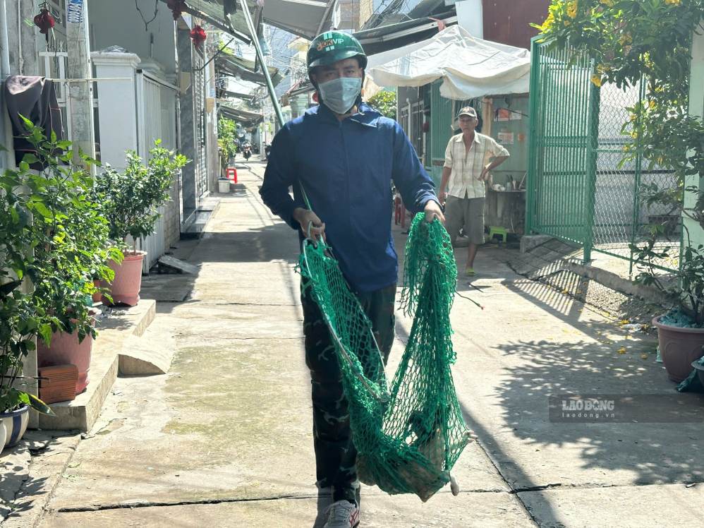 Nhiều chó thả rông không rọ mõm đã được bắt. Ảnh: Minh Tâm