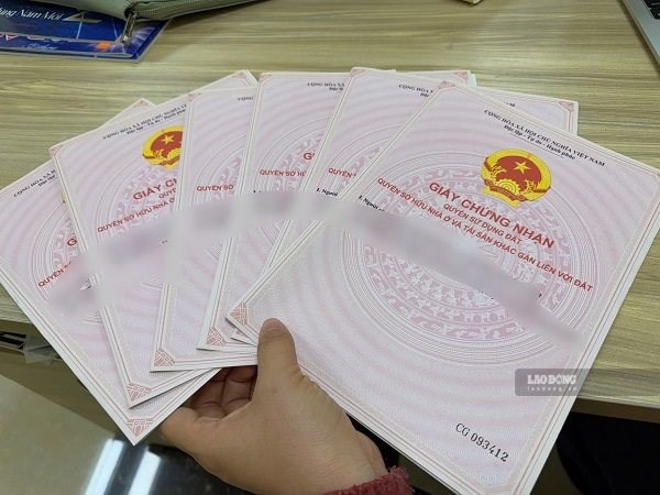The Ministry of Agriculture and Environment answers about issuing red books when land is recorded as cooperative land. Photo: Xuyen Dong