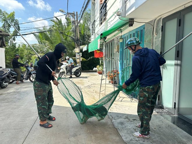 A stray dog was thrown a racket in the alley, the owner hurriedly ran out to ask for forgiveness. Photo: Minh Tam