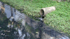 The canal in the heart of Can Tho is haunting because of its dense black water and foul odor.