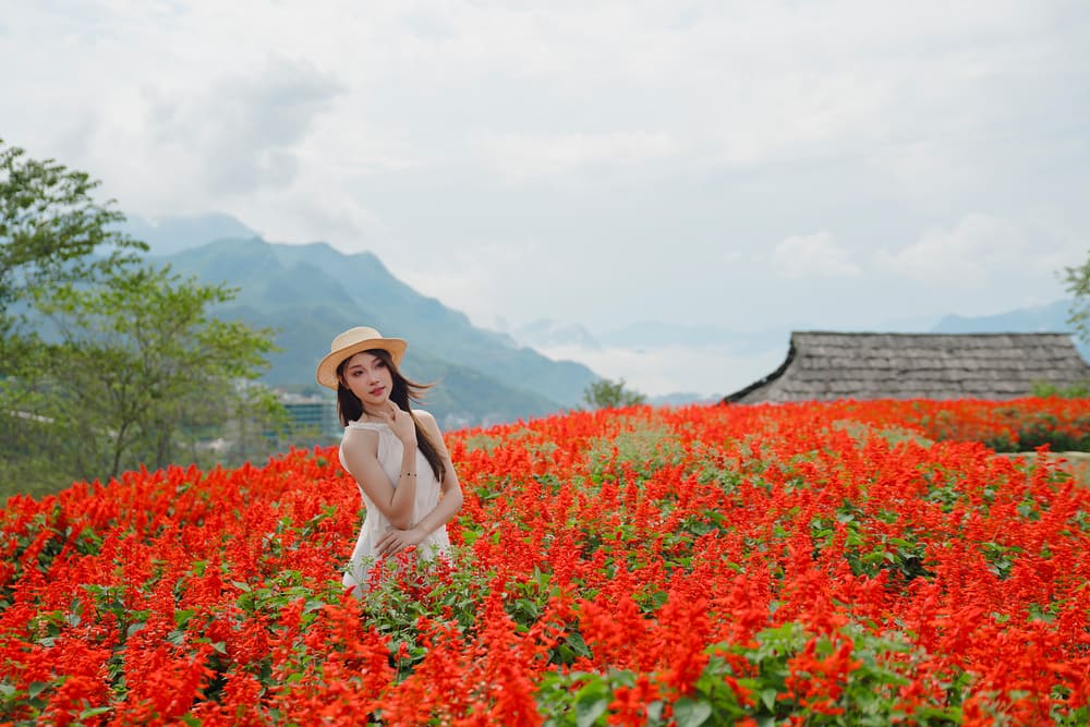 Tourists are excited to check in in the middle of the carnations flower season in Sa Pa. Photo: Thanh Son