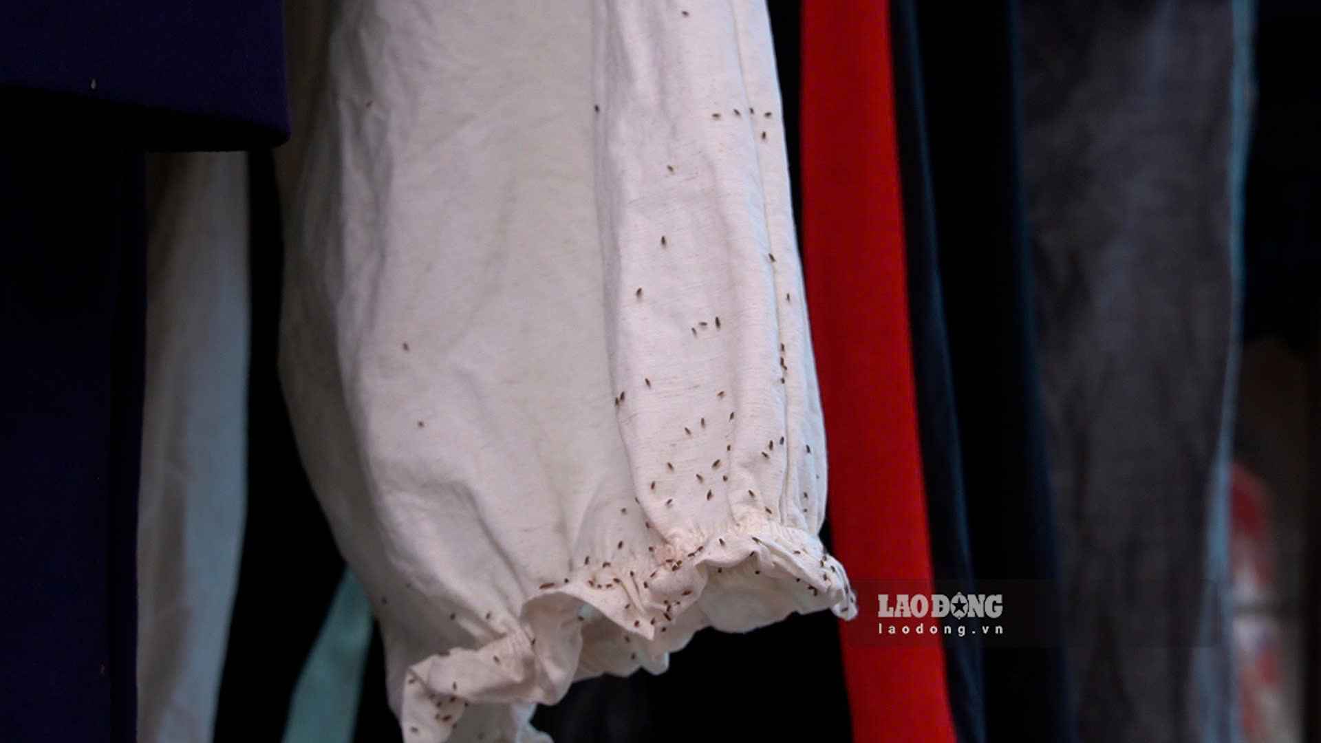 Khu trọ nơi anh Trịnh Thanh Tình sinh sống tại phường Bách Khoa (Hà Nội) luôn trong tình trạng ẩm thấp, nhiều muỗi và dĩn bám trên quần áo. Ảnh: Hạnh Thơm