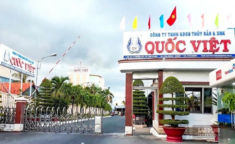 Quoc Viet Seafood Processing and Import-Export Joint Stock Company, Ca Mau late payment 30. 907. 291. 972 VND. Photo: Nhat Ho