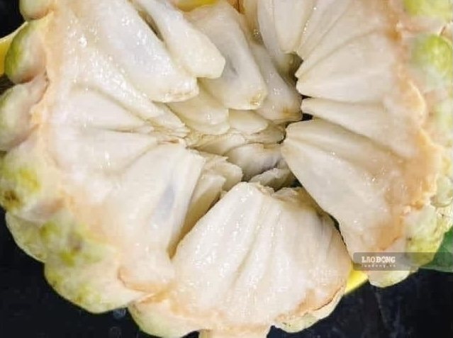 Fertile or chewy custard apple does not determine the success of the weight loss process, but it is necessary to pay attention to the amount for the diet. Photo: Kieu Vu