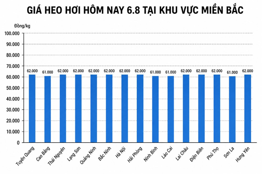 Giá heo hơi hôm nay 6.8 tại khu vực miền Bắc. Đồ họa sử dụng AI
