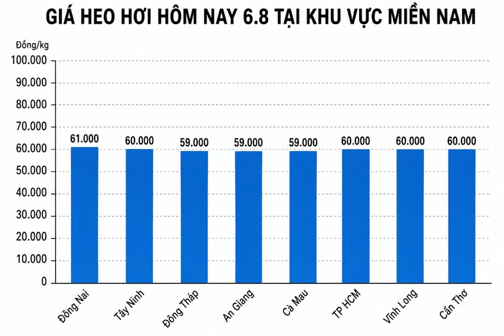 Giá heo hơi hôm nay 6.8 tại khu vực miền Bắc. Đồ họa sử dụng AI