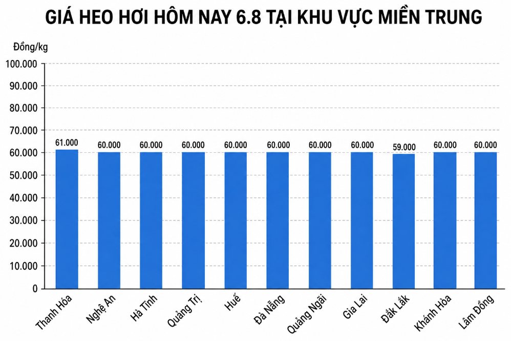 Giá heo hơi hôm nay 6.8 tại khu vực miền Trung. Đồ họa sử dụng AI