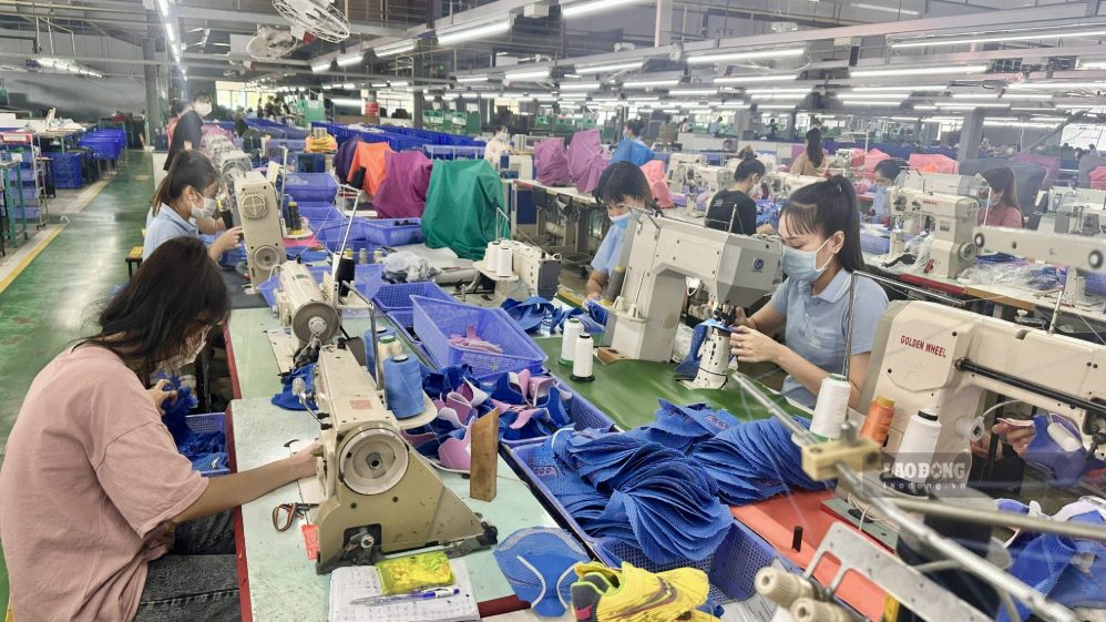 Businesses in industrial parks in Lam Dong need to recruit more than 3,100 workers to serve production in the last months of the year. Photo: Duy Tuan