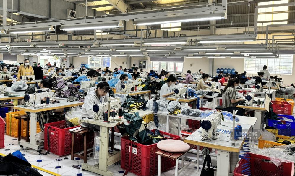 Lao động phổ thông ở nhóm ngành may mặc và chế biến nông sản cần tuyển nhiều nhân lực nhất. Ảnh: Duy Tuấn 
