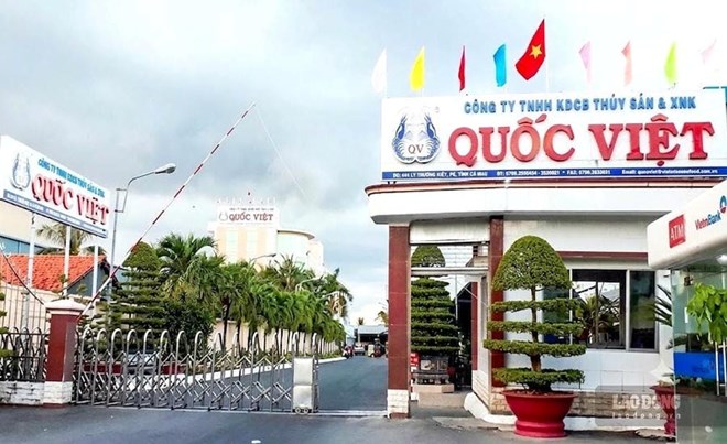 Công ty Cổ phần Kinh doanh Chế biến Thủy sản và Xuất nhập khẩu Quốc Việt, Cà Mau chậm đóng BHXH 30.907.291.972 đồng. Ảnh: Nhật Hồ
