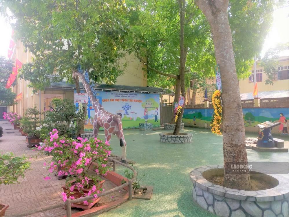 Không gian trải nghiệm dành cho học sinh tại Trường Tiểu học Hương Khê (Hà Tĩnh). Ảnh: Trần Tuấn