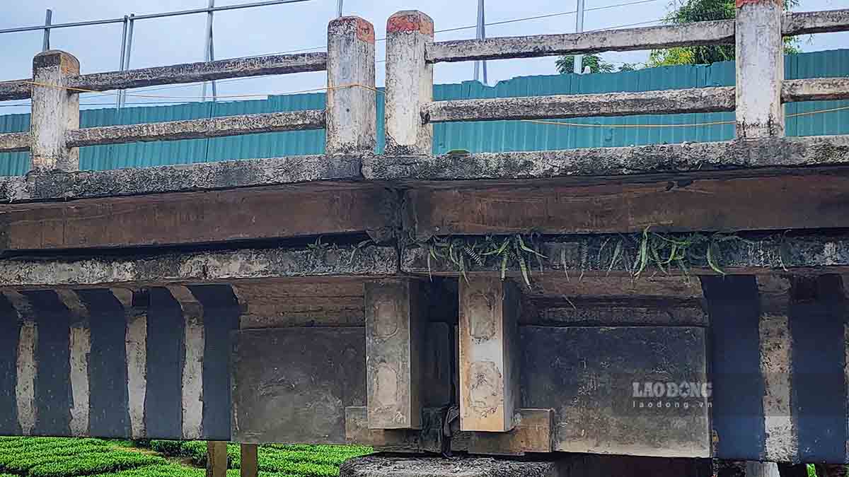 Kết quả kiểm định năm 2024 cho thấy kết cấu dầm cầu có mức độ tin cậy thấp ở cấp độ khai thác, đòi hỏi phải sửa chữa, nâng cấp. Ảnh: Nguyễn Tùng.