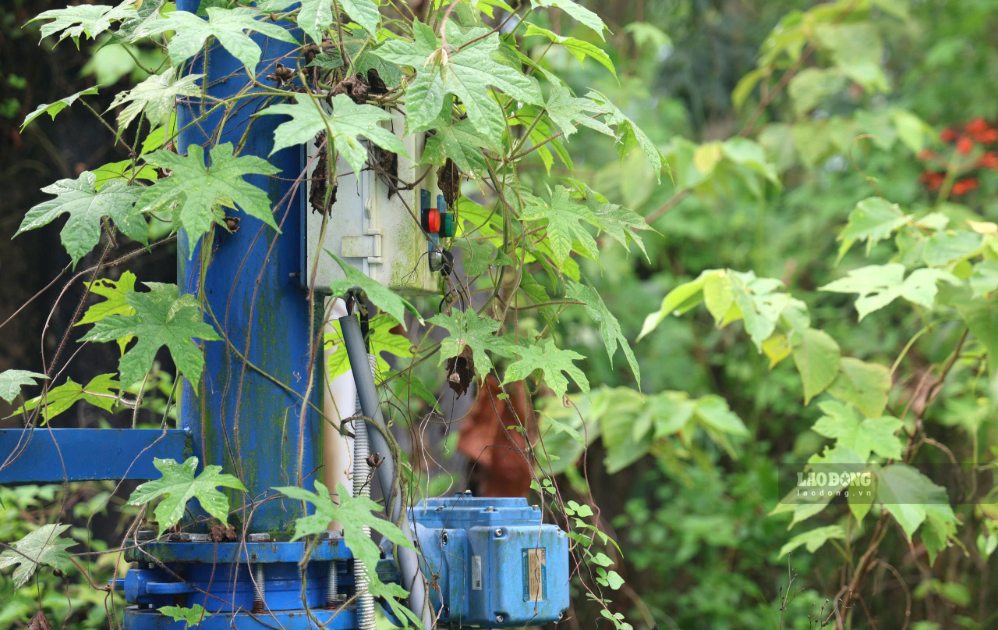 Nhiều hạng mục của công trình cấp nước sinh hoạt vẫn đang ngừng hoạt động. Cỏ dại phủ kín khu vực xung quanh. Ảnh: Đông Giang