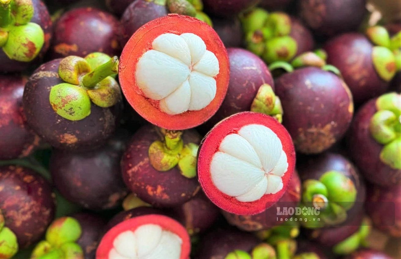 El mangostán de Bao Loc tiene un arroz grueso, blanco puro, un sabor dulce ligeramente agrio, creando un sabor característico difícil de confundir. Foto: Phuc Khanh