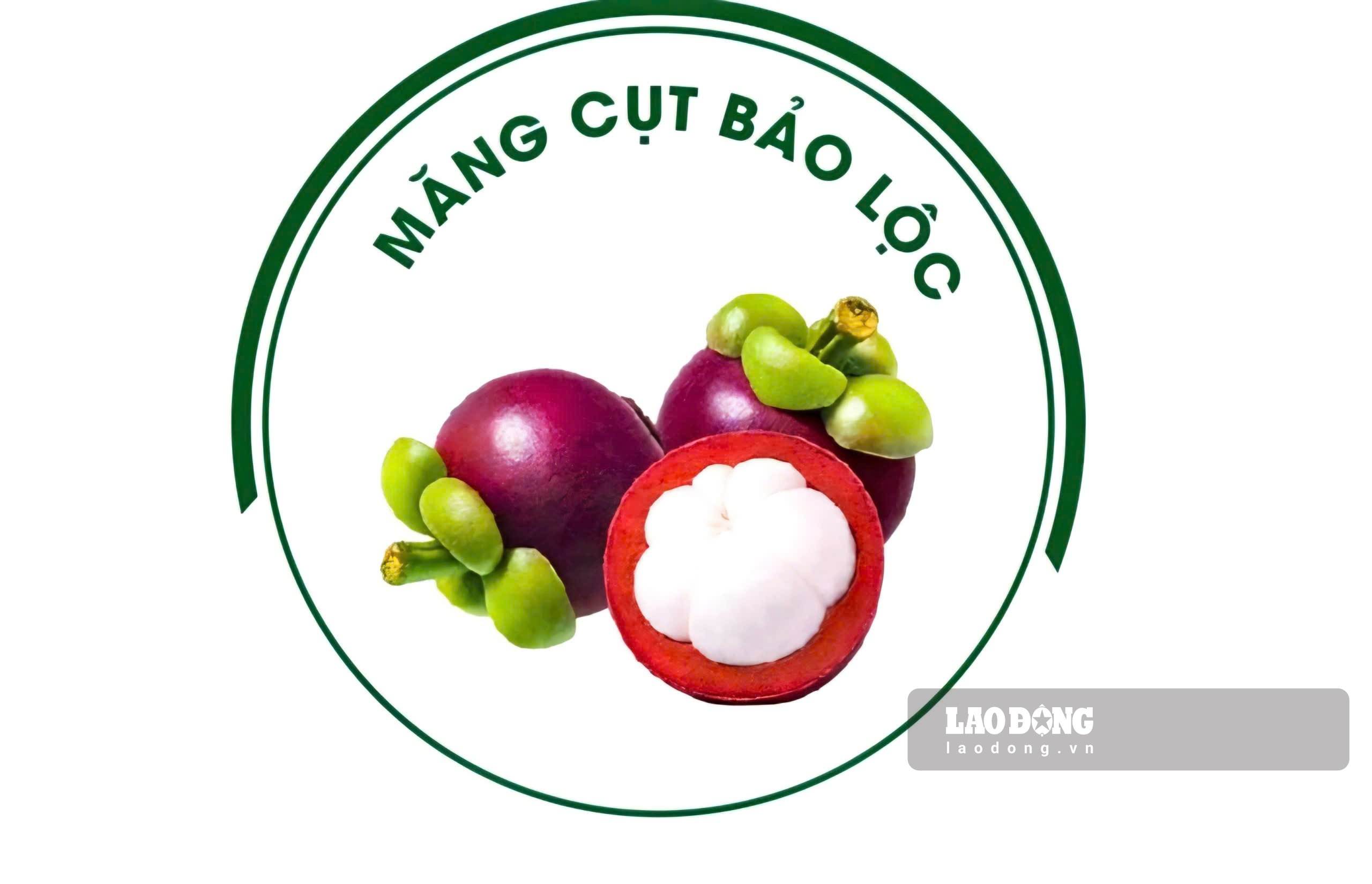 Logo Măng cụt Bảo Lộc đã được Cục Sở hữu trí tuệ công nhận nhãn hiệu sản phẩm. Ảnh: Phúc Khánh 