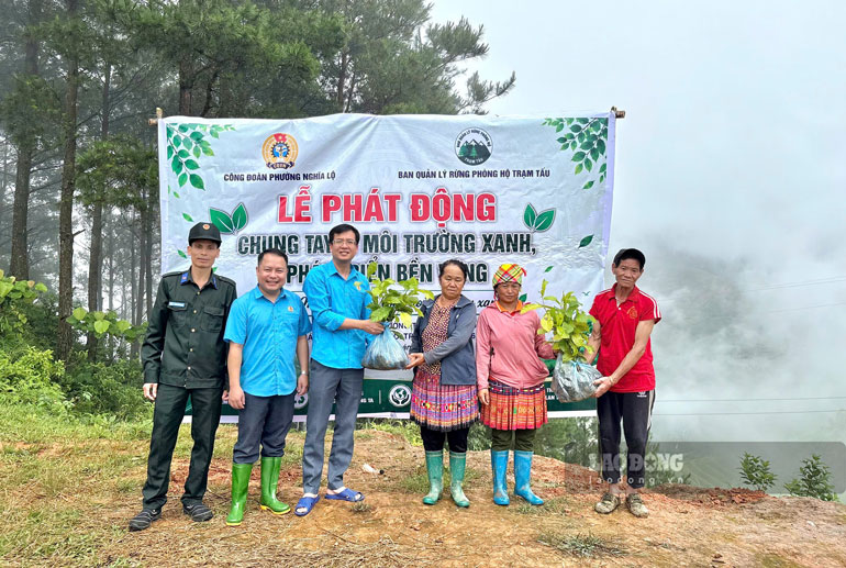Từ một cây xanh đến thay đổi nhận thức. Ảnh: Vương Anh