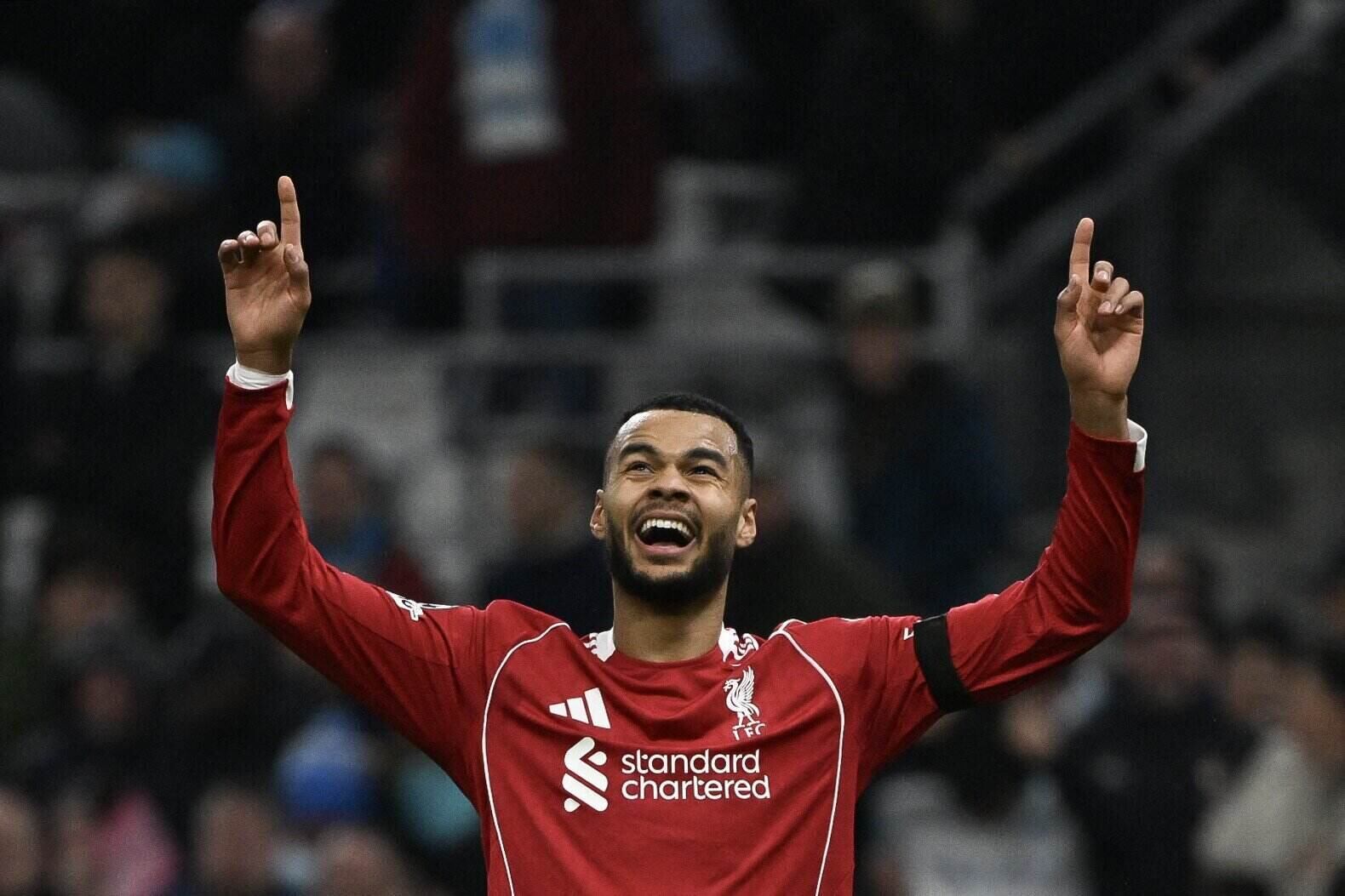 El Tottenham tiene como objetivo a Cody Gakpo del Liverpool.  Foto: AFP