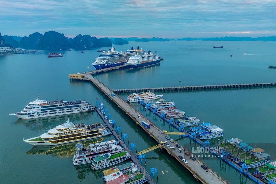Ha Long International Passenger Port (Quang Ninh). Photo: Nguyen Hung