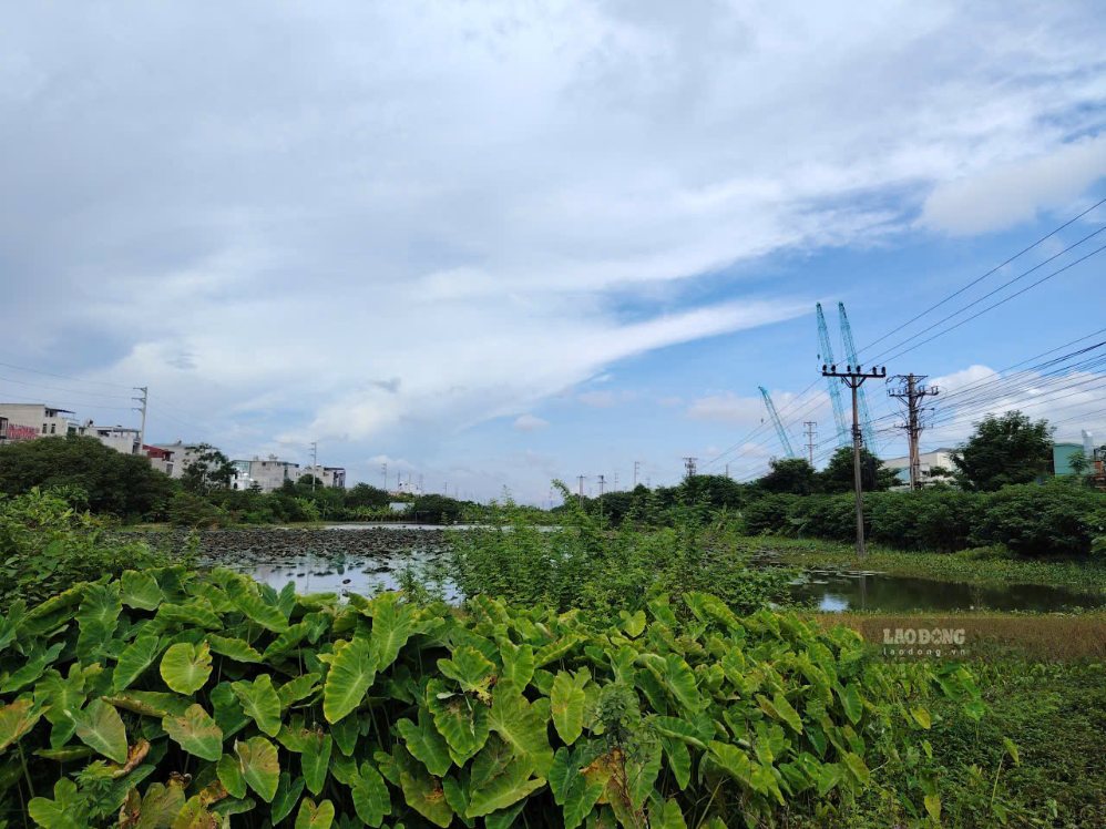 現行の規定によると、一部のケースでは、農地から住宅地への土地使用料の計算時に払い戻しが適用されます。写真:スエン・ドン